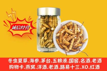 呼中区回收散虫草