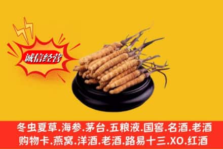 呼中区名酒回收冬虫夏草.jpg